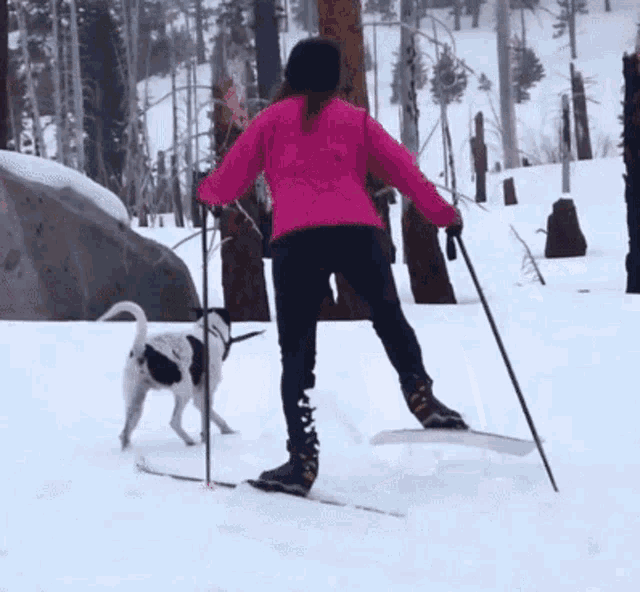 Herringbone Nordic Ski GIF