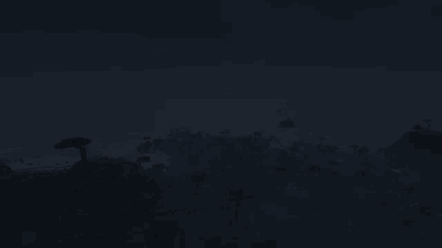 a dark forest with trees and shrubs in the middle of it