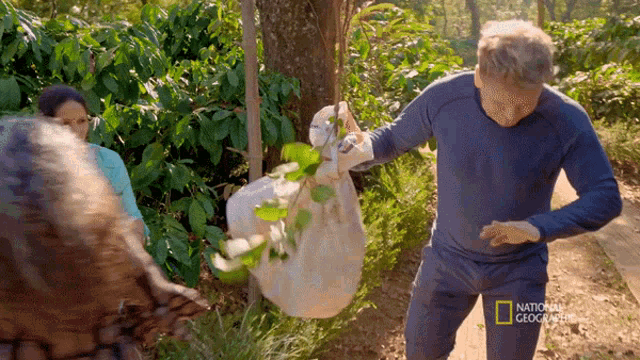 Cleaning Oneself Gordon Ramsay GIF - Cleaning Oneself Gordon Ramsay Weaver Ants Chutney GIFs