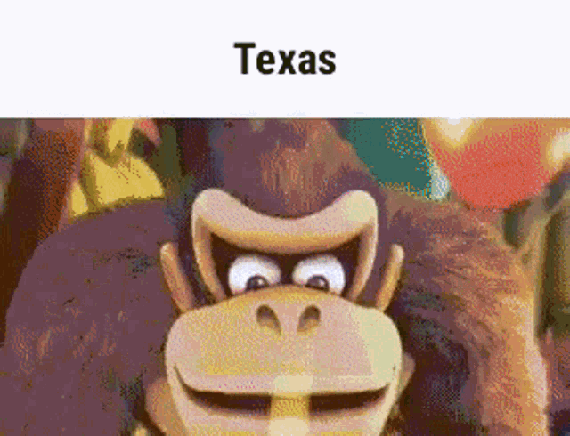 a cartoon gorilla is smiling and looking at the camera with a caption that says texas .