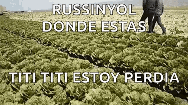a couple of people are walking through a field of lettuce with a caption .