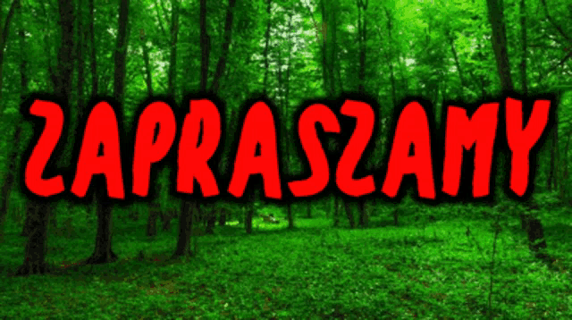a green sign that says zapraszamy is in front of a green forest