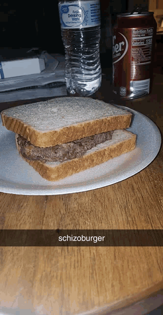 a paper plate with a sandwich and a can of diet coke