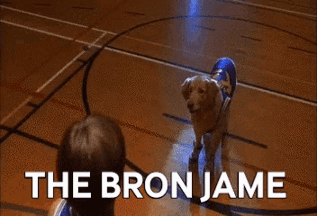 a boy is playing basketball with a dog that is wearing a basketball costume that says the bron jame