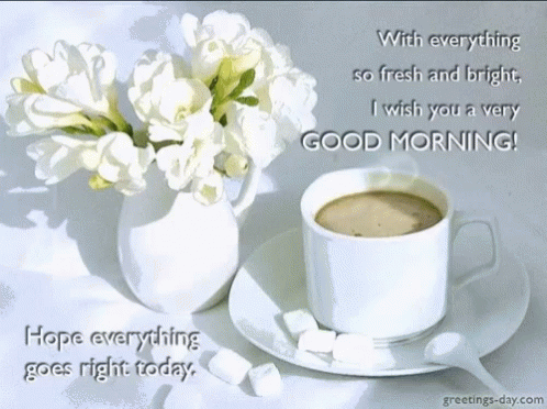 Good Morning Fresh And Bright GIF - Good Morning Fresh And Bright Coffee GIFs