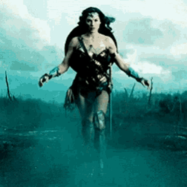 Wonder Woman Gal Gadot GIF - Wonder Woman Gal Gadot Fierce GIFs