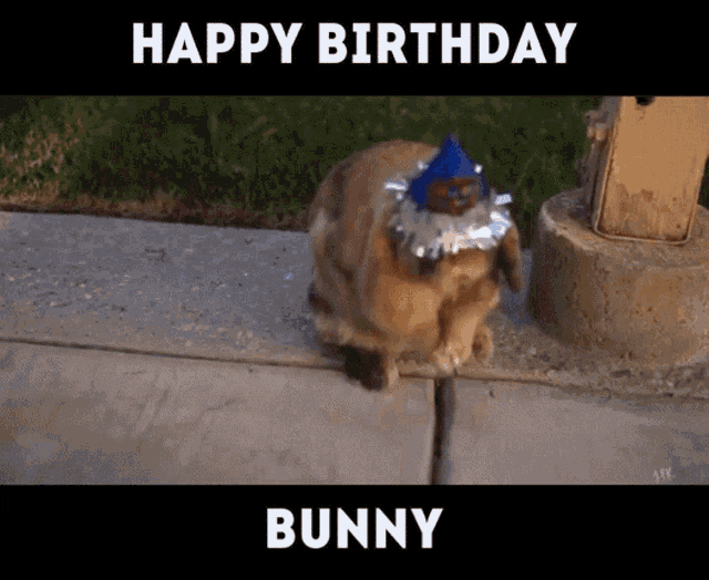 Happy Birthday Bunny GIF - Happy Birthday Bunny Rabbit GIFs