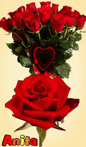 Rosas Rojas GIF - Rosas Rojas GIFs