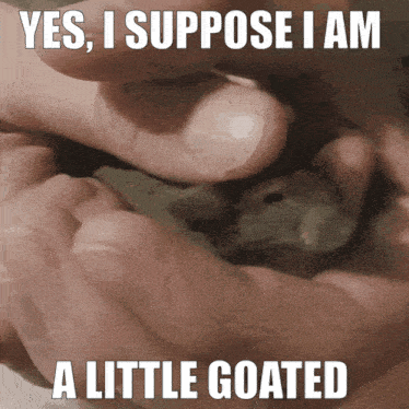a meme that says yes i suppose i am a little goated with a picture of a person holding a small animal