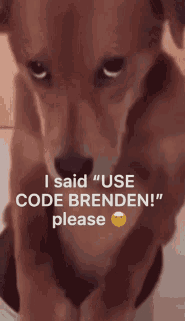 Use Code Brenden Please Creeper Made This GIF - Use Code Brenden Please Creeper Made This For Brenden GIFs