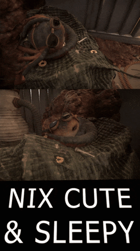 a poster that says nix cute & sleepy