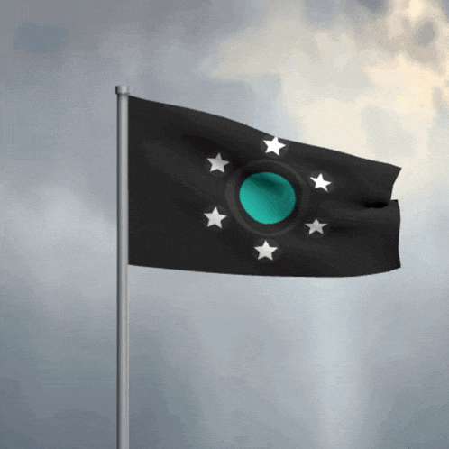 a black flag with a green center and white stars