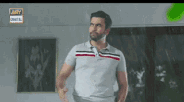 a man in a grey shirt is standing in front of a painting that says ary digital on it