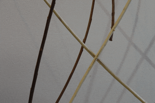 a bunch of sticks are lined up against a wall