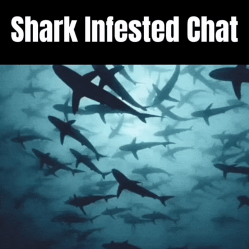 a shark infested chat poster with a picture of sharks in the water