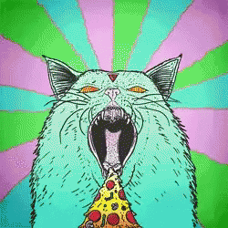 Cat Pizza GIF - Cat Pizza Eat GIFs