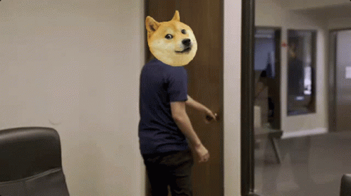 Doge Dogecoin GIF - Doge Dogecoin Celeste GIFs