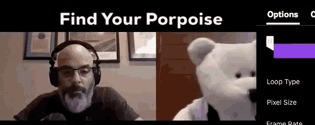 Find Your Porpoise Talk To The Bear GIF - Find Your Porpoise Talk To The Bear Bobby The Bear GIFs