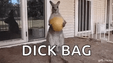 a kangaroo is standing in front of a house holding a ball and the words dick bag are visible .