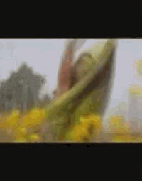 a blurry picture of a woman standing in a field of yellow flowers .