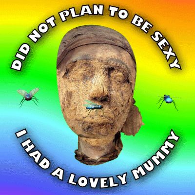 a picture of a mummy with a fly in its mouth and the words did not plan to be sexy i had a lovely mummy below