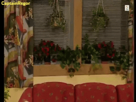 a living room with a red couch and a window with potted plants on it .