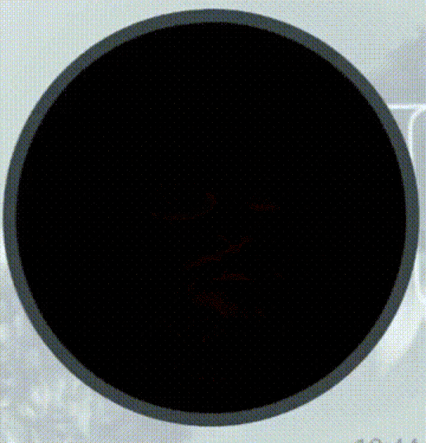 a close up of a man 's face in a circle with leaves in the background