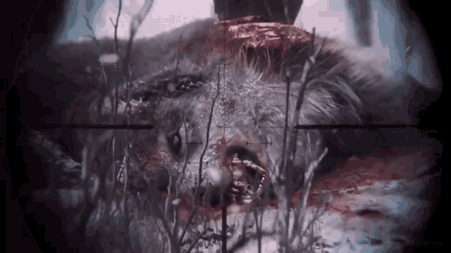 a close up of a dead animal with blood coming out of it 's mouth