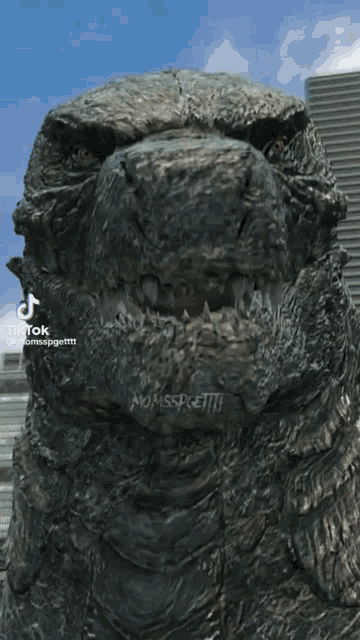 a close up of a monster 's face with a caption that says no misspoett