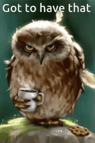 Got To Have That Coffee Owl GIF - Got To Have That Coffee Owl Nocturnal Coffee GIFs