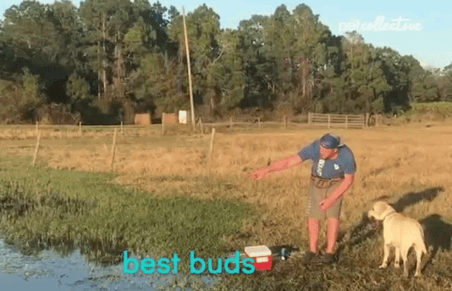 Best Buds Fishing GIF - Best Buds Fishing Pulling String GIFs