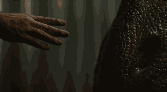 a man wearing a watch is touching a dinosaur 's back .