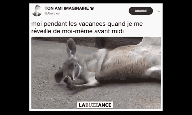 a picture of a kangaroo laying on its back with a caption that says " mon ami imaginaire "
