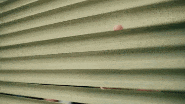 a person is peeking through a window with blinds open .