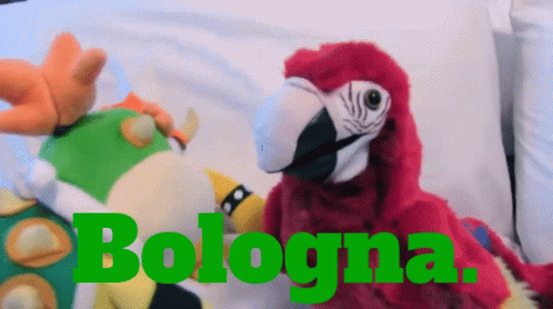 Sml Polly The Parrot GIF - Sml Polly The Parrot Bologna GIFs