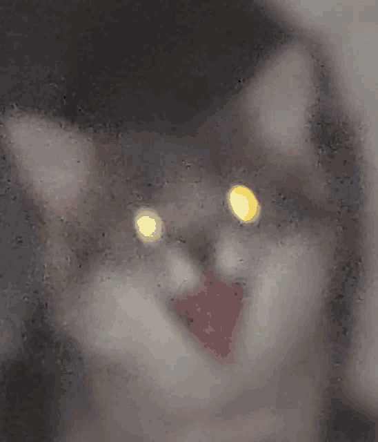 a close up of a cat 's face behind a glass door with its eyes glowing .