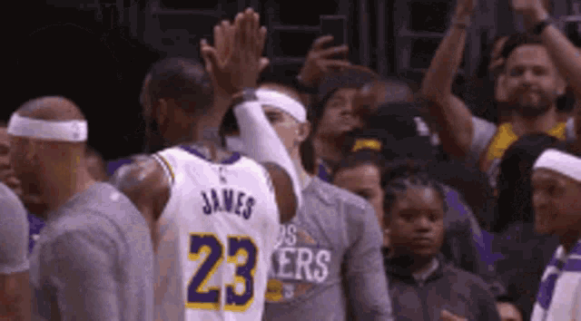 a basketball player with the number 23 on his jersey gives a high five