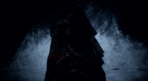 a silhouette of a woman in a dark room with a veil on her head