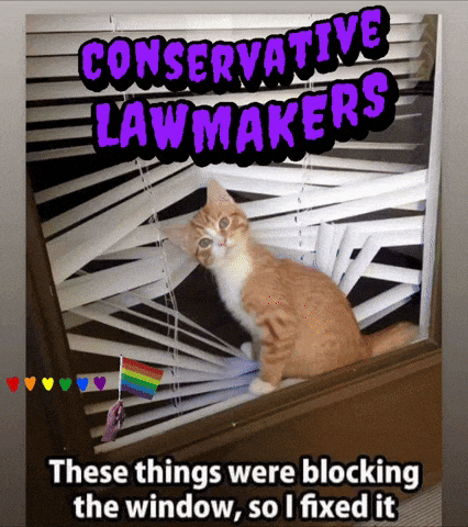 a cat is looking out a window with blinds and the words conservative lawmakers above it