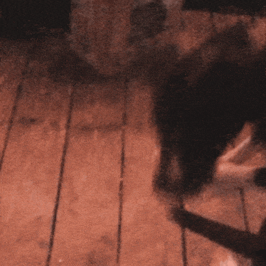 a cat is laying on a wooden floor next to a box .