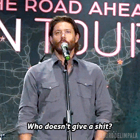 a man stands in front of a microphone and says " who doesn 't give a shit "