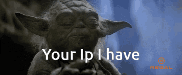 a picture of yoda with the words your ip i have below him
