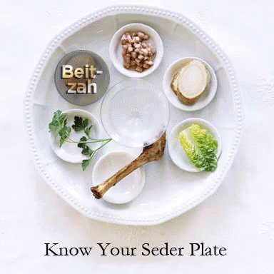Know Your Plate GIF - Seder Happy Passover GIFs