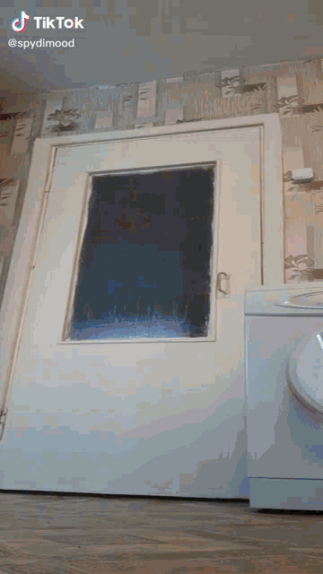 a white door with a window next to a washer and dryer with tiktok written on the bottom