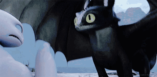 toothless and light fury from how to train your dragon are standing next to each other