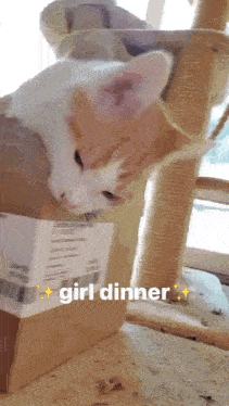 Girl Dinner GIF - Girl Dinner Silly GIFs