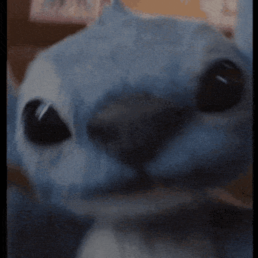 a close up of a stuffed animal 's face with a blurred background