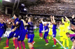 équipe De France GIF
