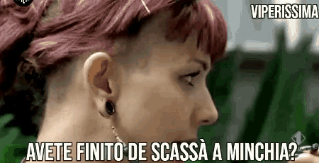 Avete Finito De Scassa A Minchia Viperissima GIF