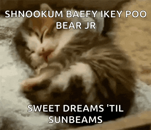 a kitten is sleeping on a pillow with the words sweet dreams til sunbeams on the bottom